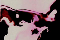 Palindrome (1969)