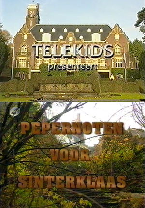 Pepernoten voor Sinterklaas