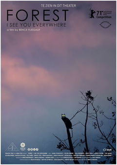 Forest: I See You Everywhere (2020)