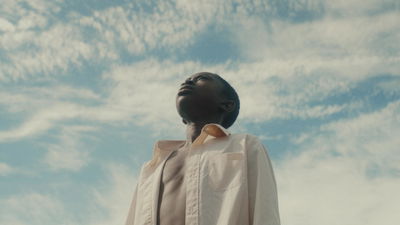 Wildflowers - The Children of Never