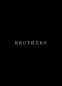 Brothers (2015)