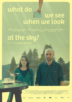 What Do We See When We Look at the Sky? (2021)