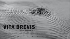 Vita Brevis (2014)