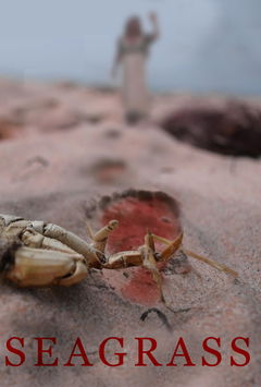 Seagrass (2019)