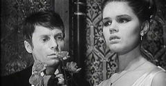 Pavoncello (1969)