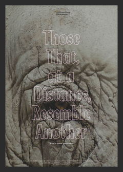 Those That, at a Distance, Resemble Another (2019)