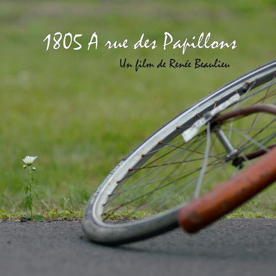 1805 A rue des Papillons