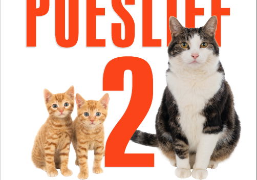 Beste Documentaires 2021 op Film1 (september 2025)
