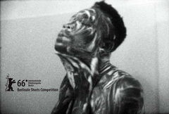 Reluctantly Queer (2016)