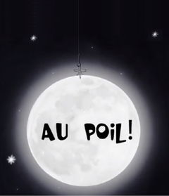 Au poil (2011)