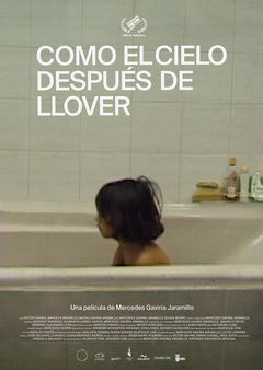 Como el cielo después de llover (2020)