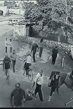 An Unusual Summer (2020)