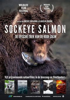 Nature on Tour: Sockeye Salmon (2020)