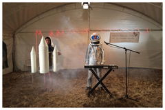 The Yuri Gagarin Goose Chase (2011)