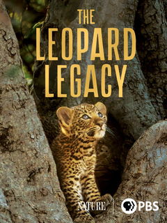 The Leopard Legacy (2021)