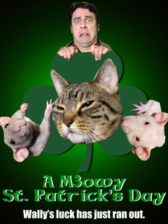 A Meowy St. Patrick's Day (2020)