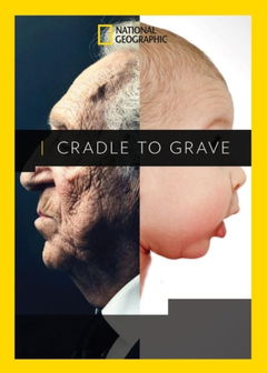 Cradle to Grave (2017)