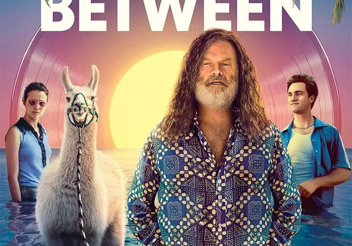 Beste Muziekfilms 2021 op SkyShowtime (januari 2026)