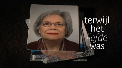 Eric de Vroedt - Terwijl het liefde was