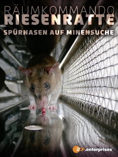Räumungskommando Riesenratte - Spürnasen auf Minensuche (2008)