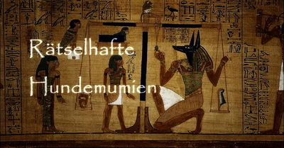 Rätselhafte Hundemumien