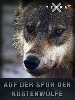 Auf der Spur der Küstenwölfe (2007)