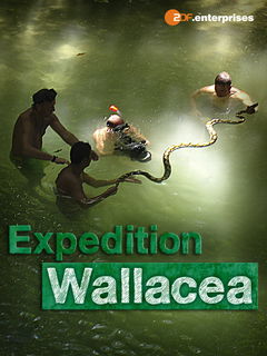 Wallacea - Expedition zur Wiege der Meeresfauna (2007)