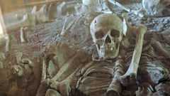 Unsterbliches Pompeji (2019)