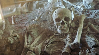 Unsterbliches Pompeji