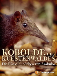 Kobolde des KĂĽstenwaldes - Die RĂĽsselhĂĽndchen von Arabuko (2008)