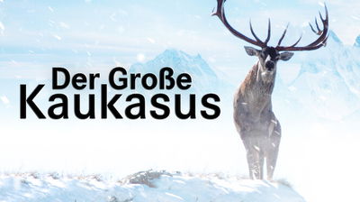 Der große Kaukasus
