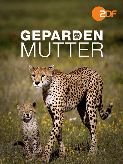 Gepardenmutter