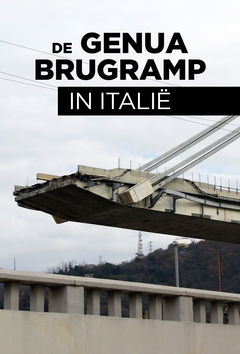 De Genua Brugramp In Italië (2019)