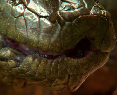 Anaconda: Silent Killer