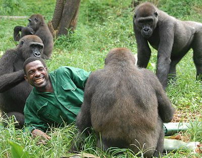 Bama der Gorillamann