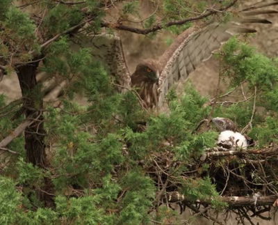 Der Kleine Kaukasus - Zwischen Ararat und Kaspischem Meer