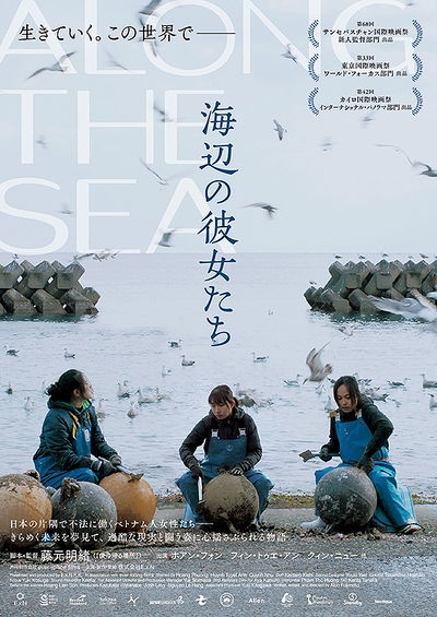 Along the Sea