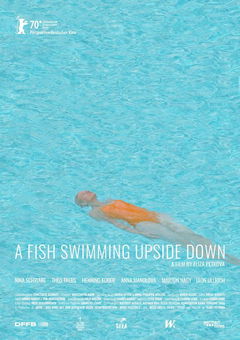 A Fish Swimming Upside Down (2020)