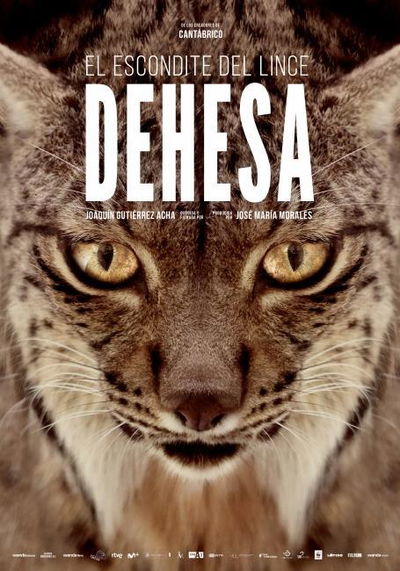 Dehesa - Forest of the Iberian Lynx