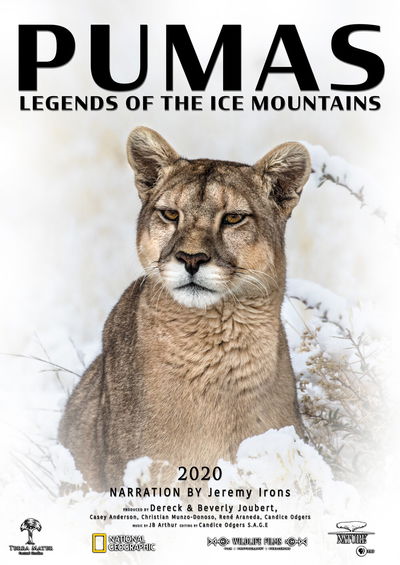 Pumas: Legends of the Ice Mountains