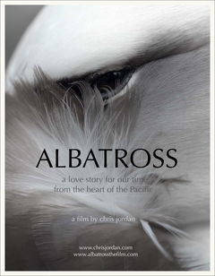 Albatross (2017)