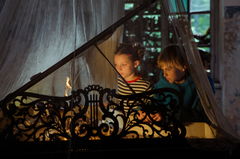 Drugelio sirdis (2021)