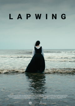 Lapwing (2021)