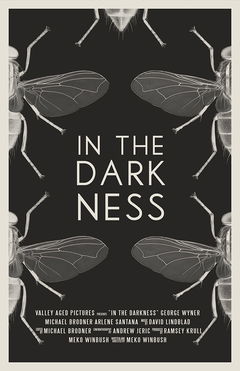 In the Darkness (2021)