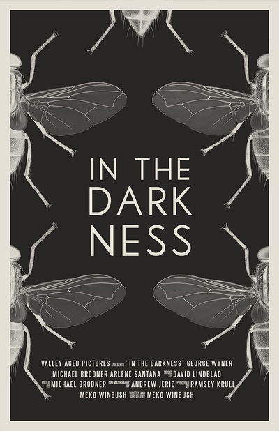 In the Darkness