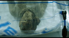 Cartas desde Eusapia (2021)