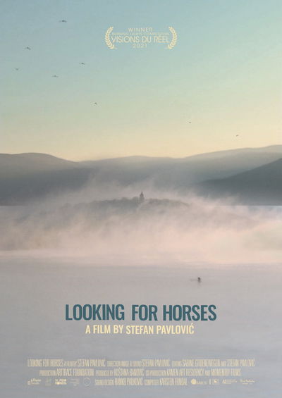 Looking for Horses