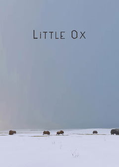 Little Ox (2021)