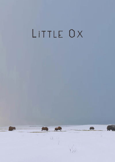 Little Ox