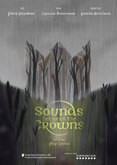 Sounds between the Crowns (2020)
